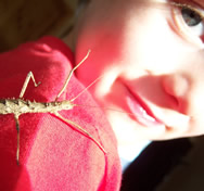 Facing fears increases self esteem